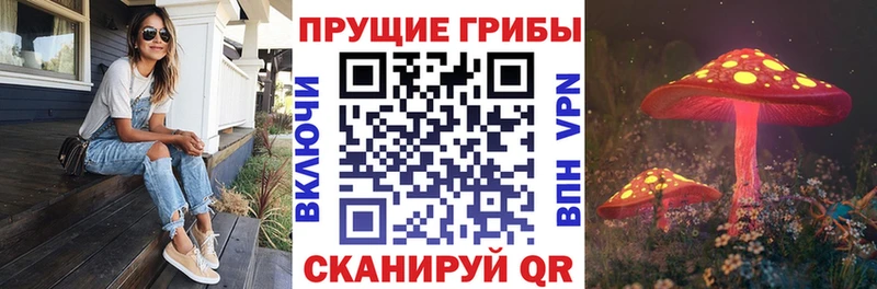 Псилоцибиновые грибы GOLDEN TEACHER  Купить где  Можайск 